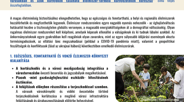 Hungarian Policy Brief_02