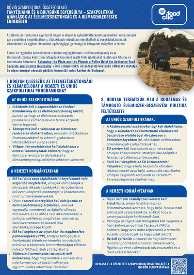 Policy Brief #3 in short - Hungarian version