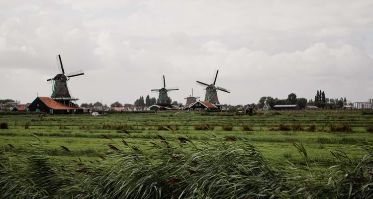 The image shows grasslands or agricultural land and windmills in the back.