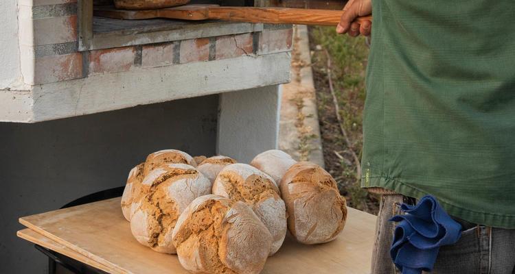 bread