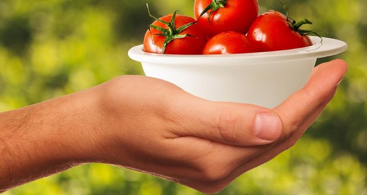 urban food systems