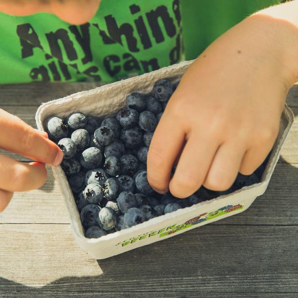 Photo by Markus Spiske on pexels.com The images shows a child's hands picking blueberries out of a fruit bowl.