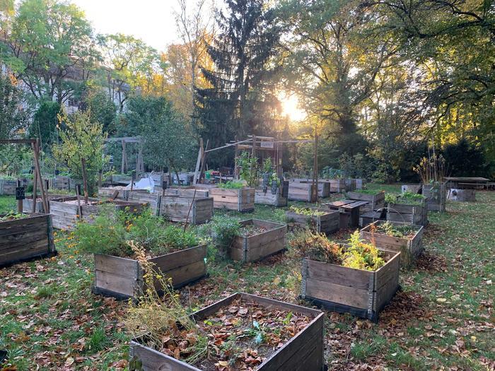 Community garden