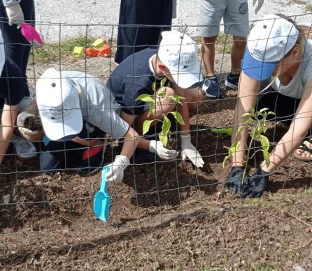 children in wineyard