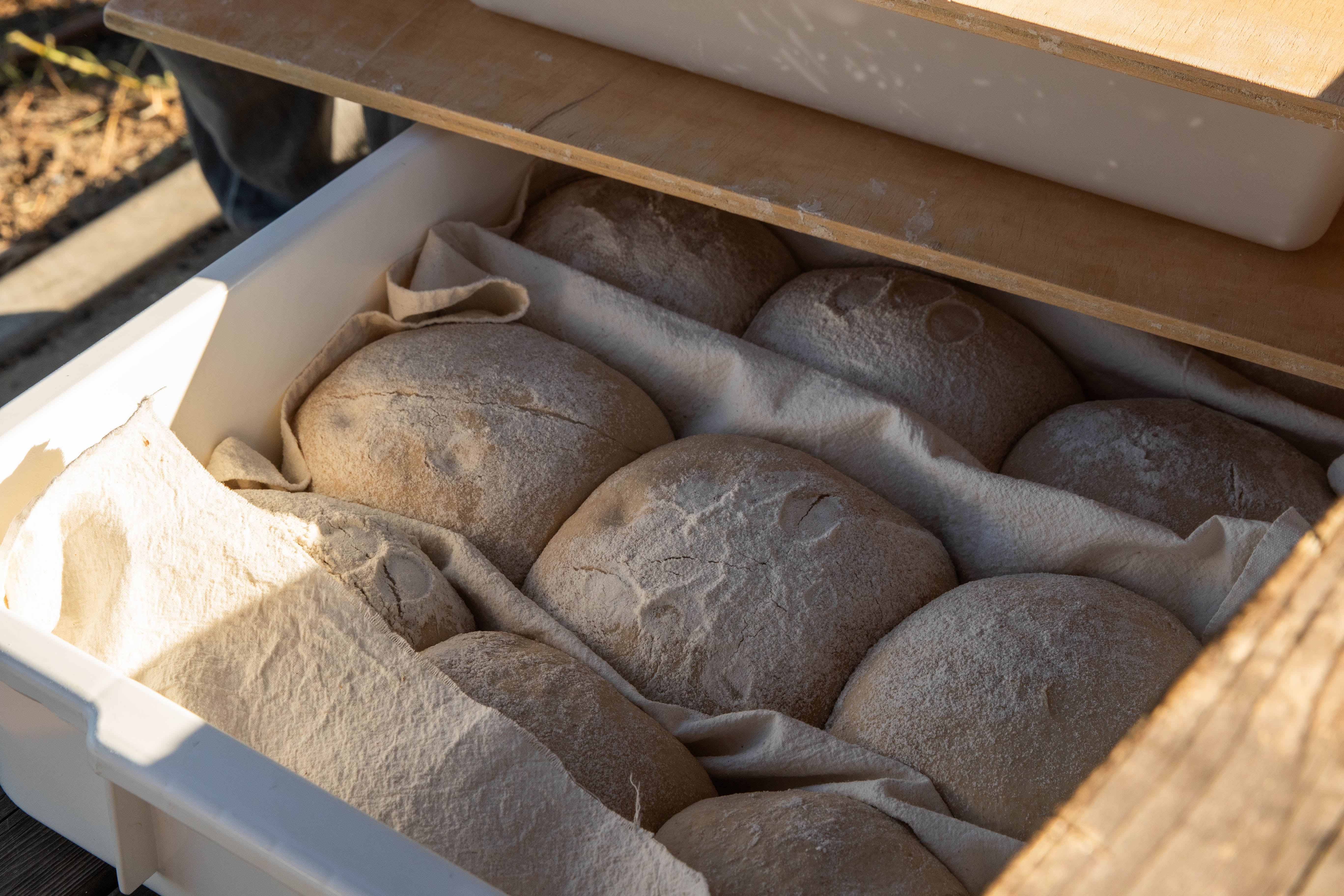 bread