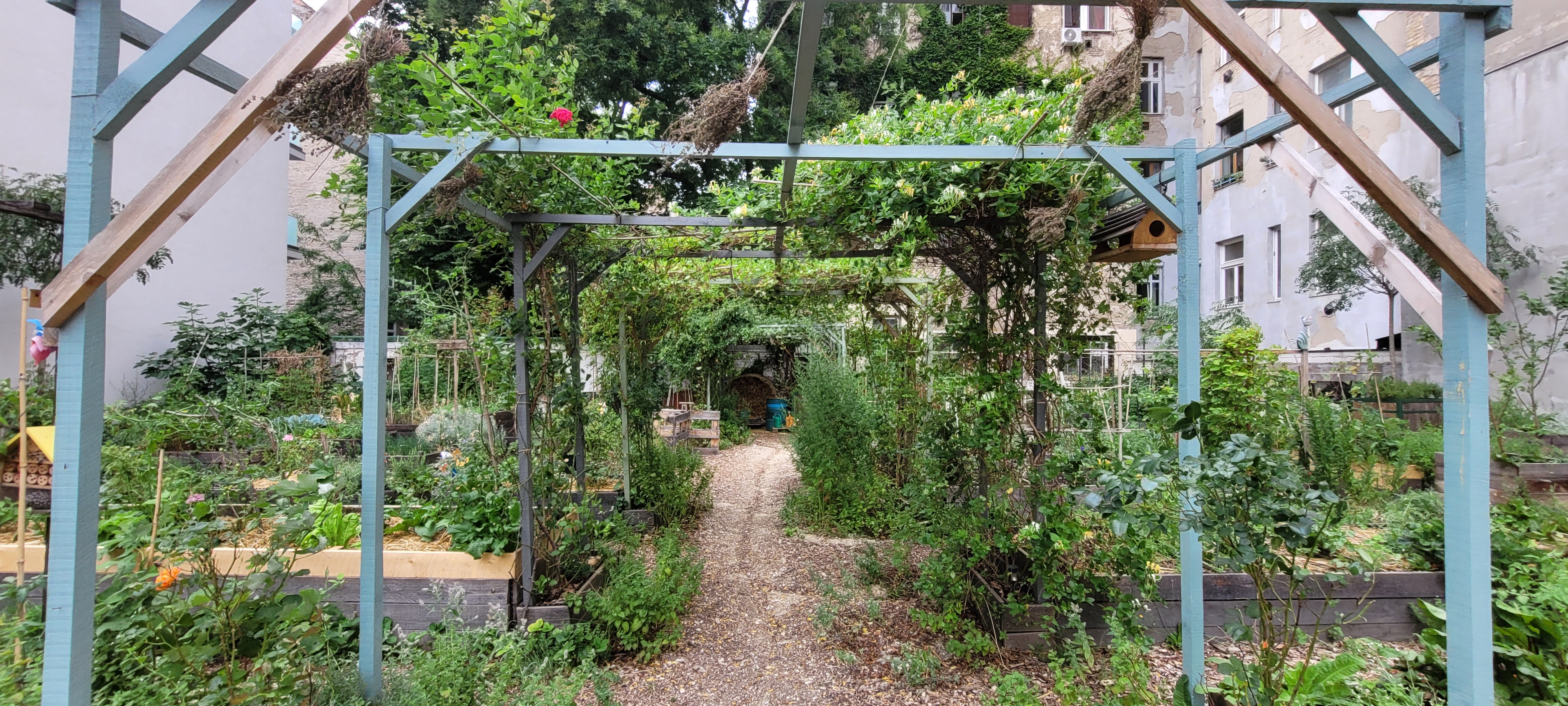 permaculture
