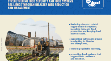 FoodCLIC_Policy Brief_5_cover