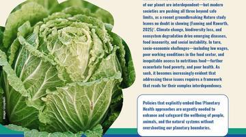 FoodCLIC Policy Brief #4