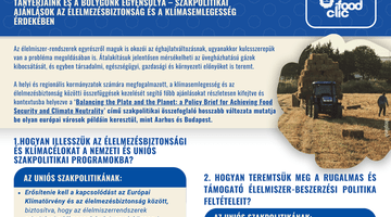 Policy Brief #3 in short - Hungarian version