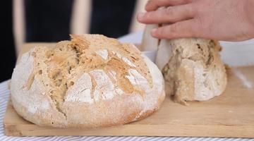 Bread