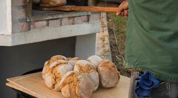 bread