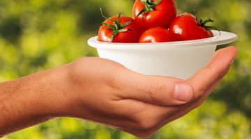 urban food systems