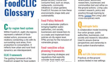 glossary