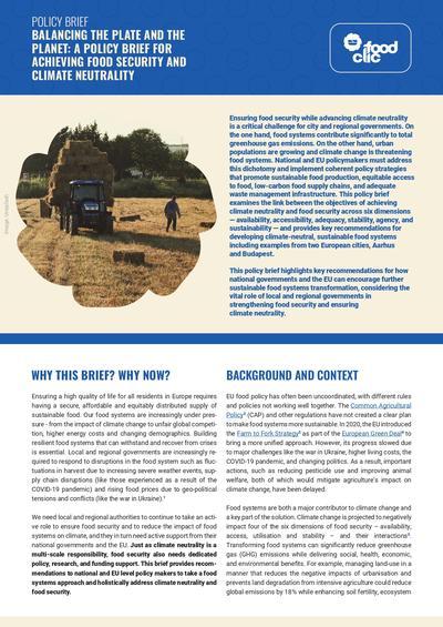FoodCLIC_Policy Brief_3_cover