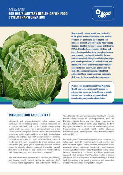 FoodCLIC Policy Brief #4