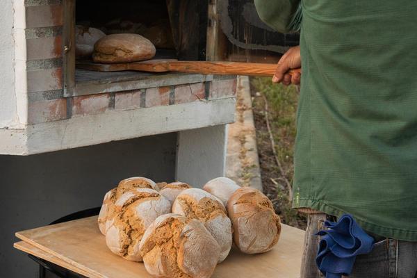 bread